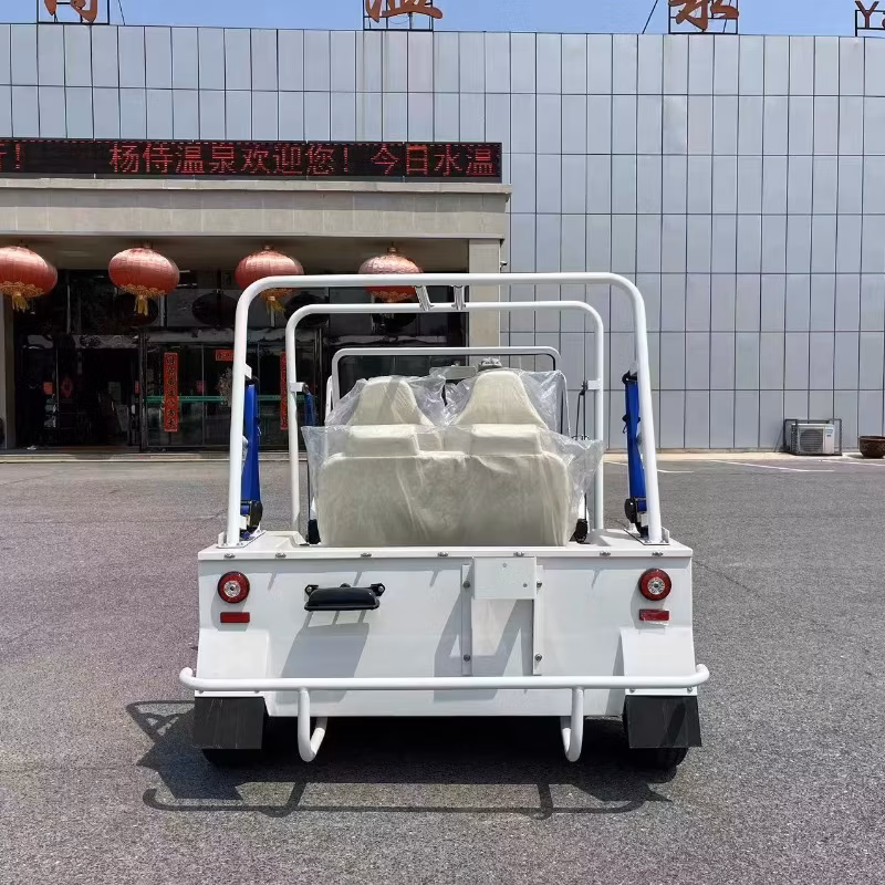 Small Beach Mini Moke Car Golf Go Cart with Gasoline Power