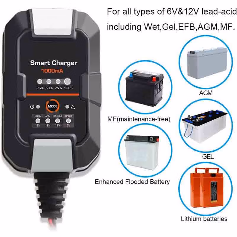 Lithium 12V Discharger LiFePO4 Car 24V with Chargers Li Ion Computerised 36V Golf Cart 3.2V Fast Portable 10A a Battery Charger