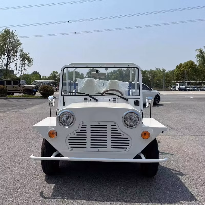 Small Beach Mini Moke Car Golf Go Cart with Gasoline Power