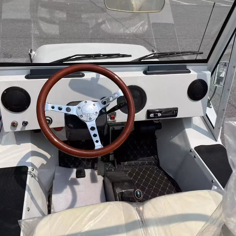 Small Beach Mini Moke Car Golf Go Cart with Gasoline Power
