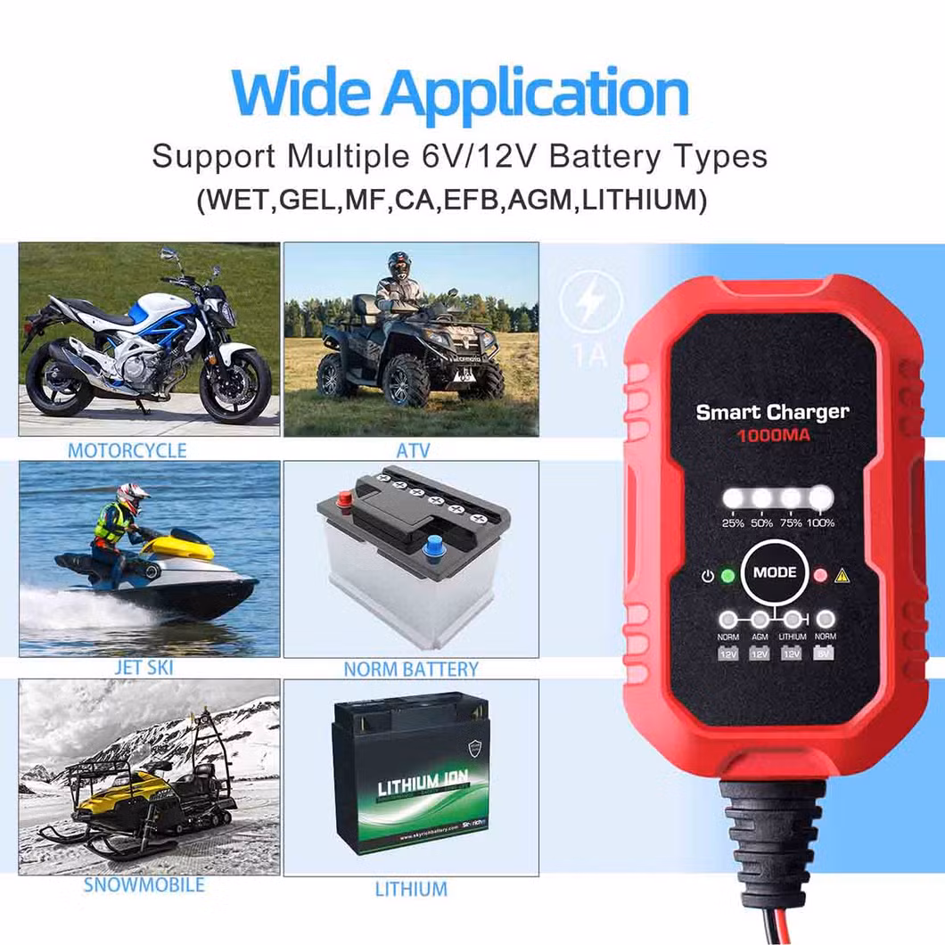 Lithium 12V Discharger LiFePO4 Car 24V with Chargers Li Ion Computerised 36V Golf Cart 3.2V Fast Portable 10A a Battery Charger