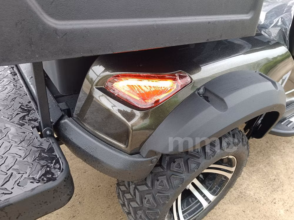 Custom Made New Model Comfortable Folding Golf Scooter 4 Seat Club Sightseeing Golf Car 48/60/72V off-Road Electric Golf Carts