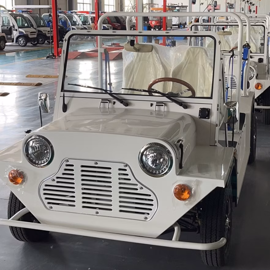 Small Beach Mini Moke Car Golf Go Cart with Gasoline Power