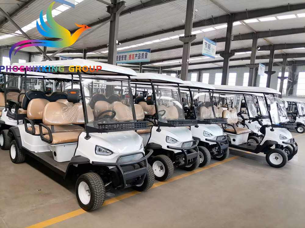 Stylish New Design 5-Passenger Electric Golf Cart for Eco-Conscious Buyers