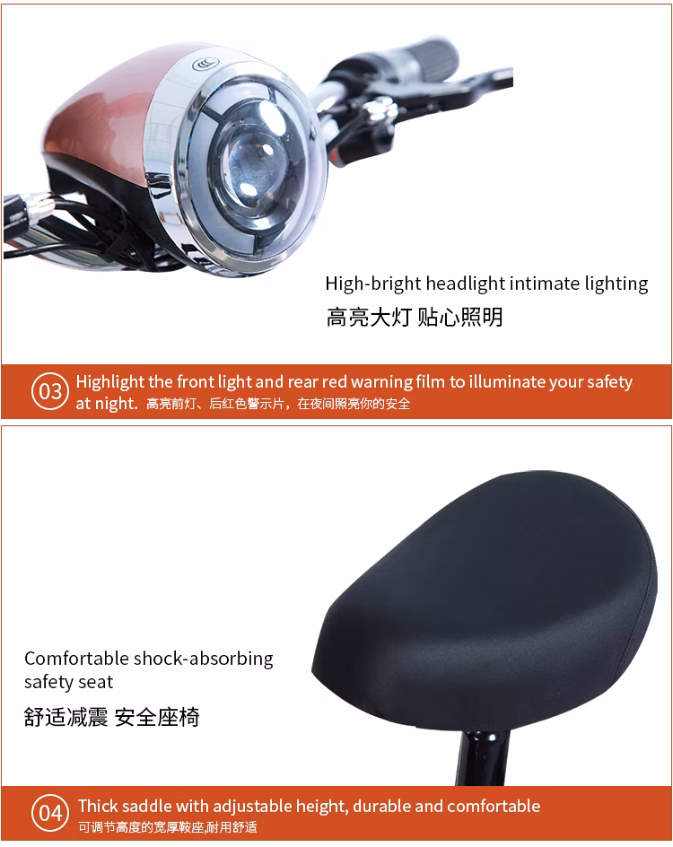 16 Inch Wheel Popular City Electric Bike Adult Vehicle E-Bicycle Used Electric Scooter