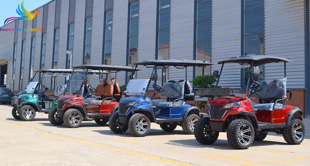 Stylish New Design 5-Passenger Electric Golf Cart for Eco-Conscious Buyers