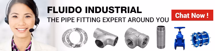 Any Size Ductile Cast Iron Pipe Fittings Flanged Water Pipe Fitting