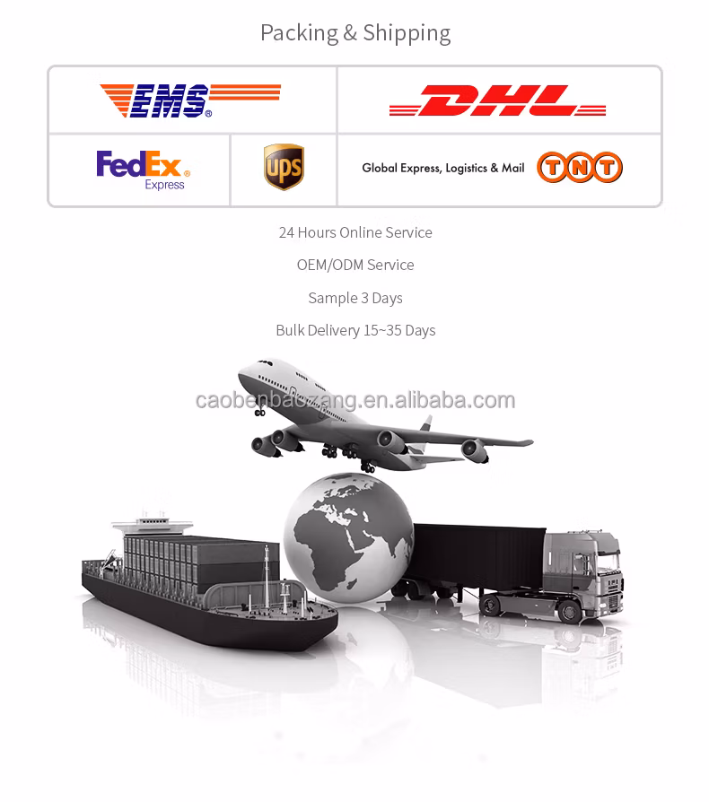 Mushroom Extract High Quality Food Grade Liquid Herbal Plant Powder Blends Medicinal Mushroom Supplement