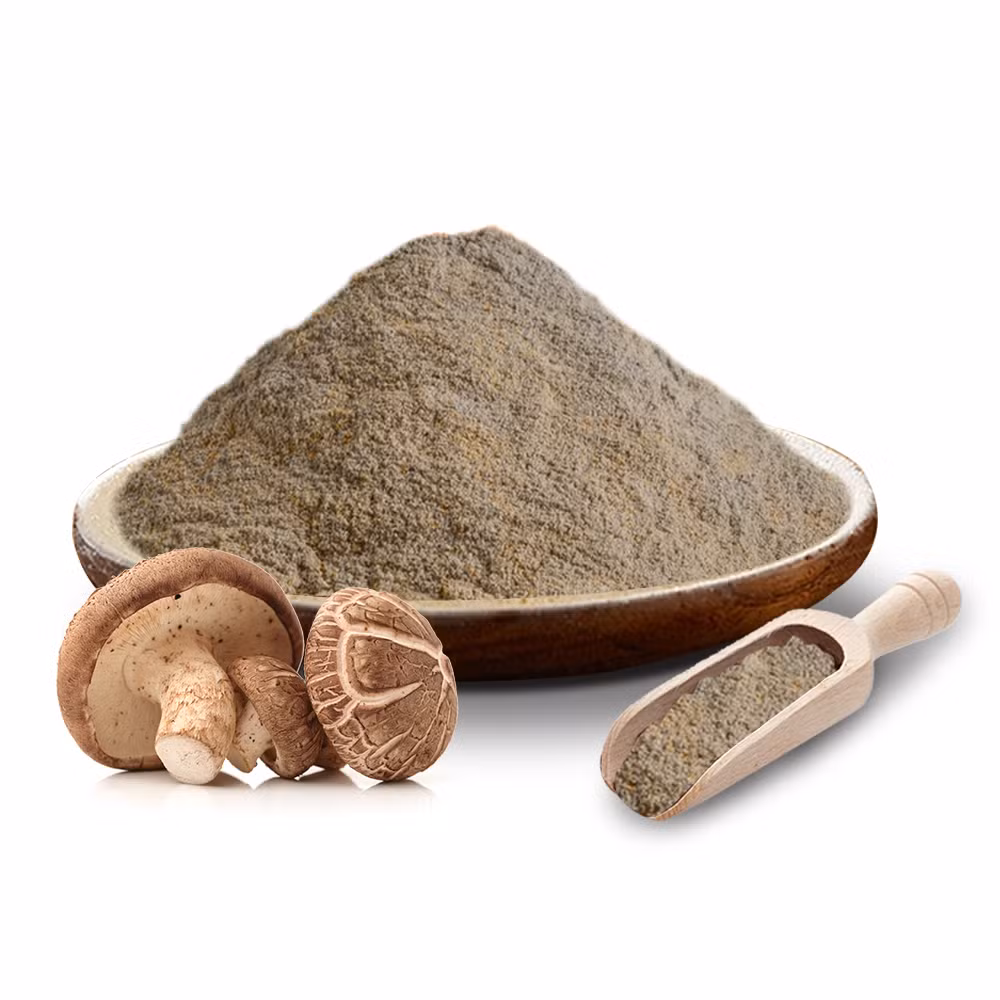 Mushroom Extract High Quality Food Grade Liquid Herbal Plant Powder Blends Medicinal Mushroom Supplement