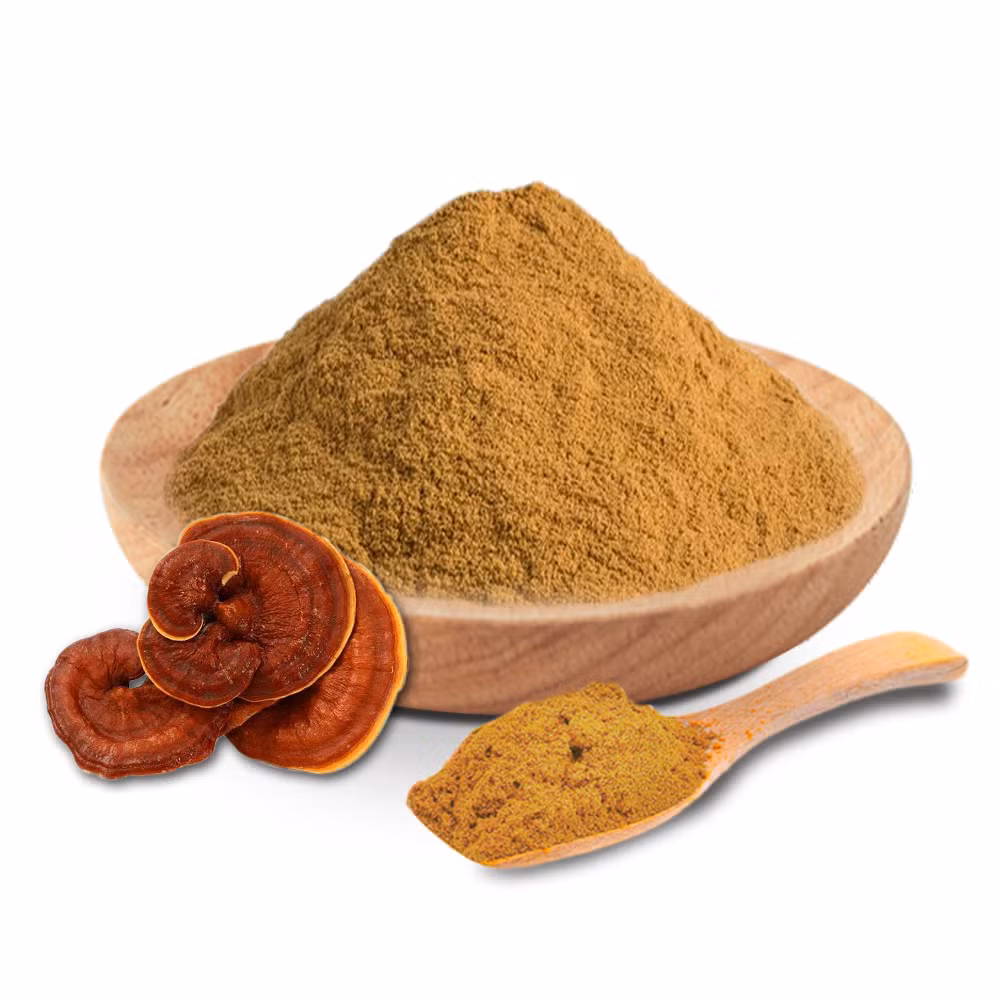 Mushroom Extract High Quality Food Grade Liquid Herbal Plant Powder Blends Medicinal Mushroom Supplement