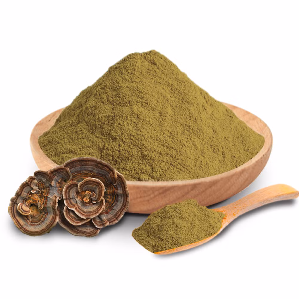 Mushroom Extract High Quality Food Grade Liquid Herbal Plant Powder Blends Medicinal Mushroom Supplement
