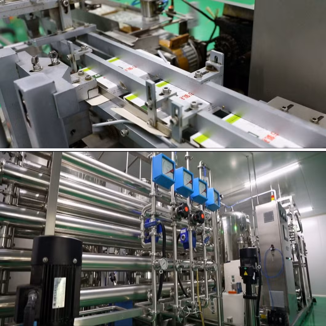 Nutritional Products for Fish, Shrimp and Turtles: L-Ascorbic Acid Vitamin C Feed Additive Improves The Health of Aquatic Animals, at a Favorable Price