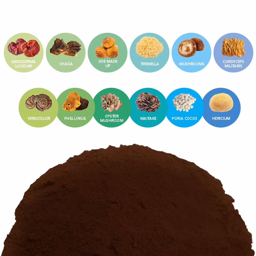 Mushroom Extract High Quality Food Grade Liquid Herbal Plant Powder Blends Medicinal Mushroom Supplement