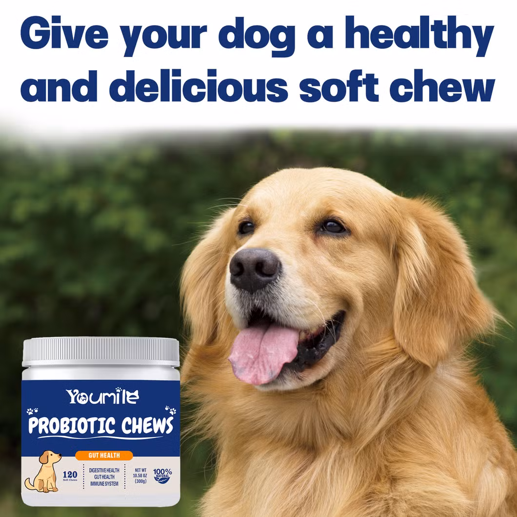 Pet Probiotic Supplement for Dogs&rsquor; Digestive Health, Supports Gut Flora and Immunity