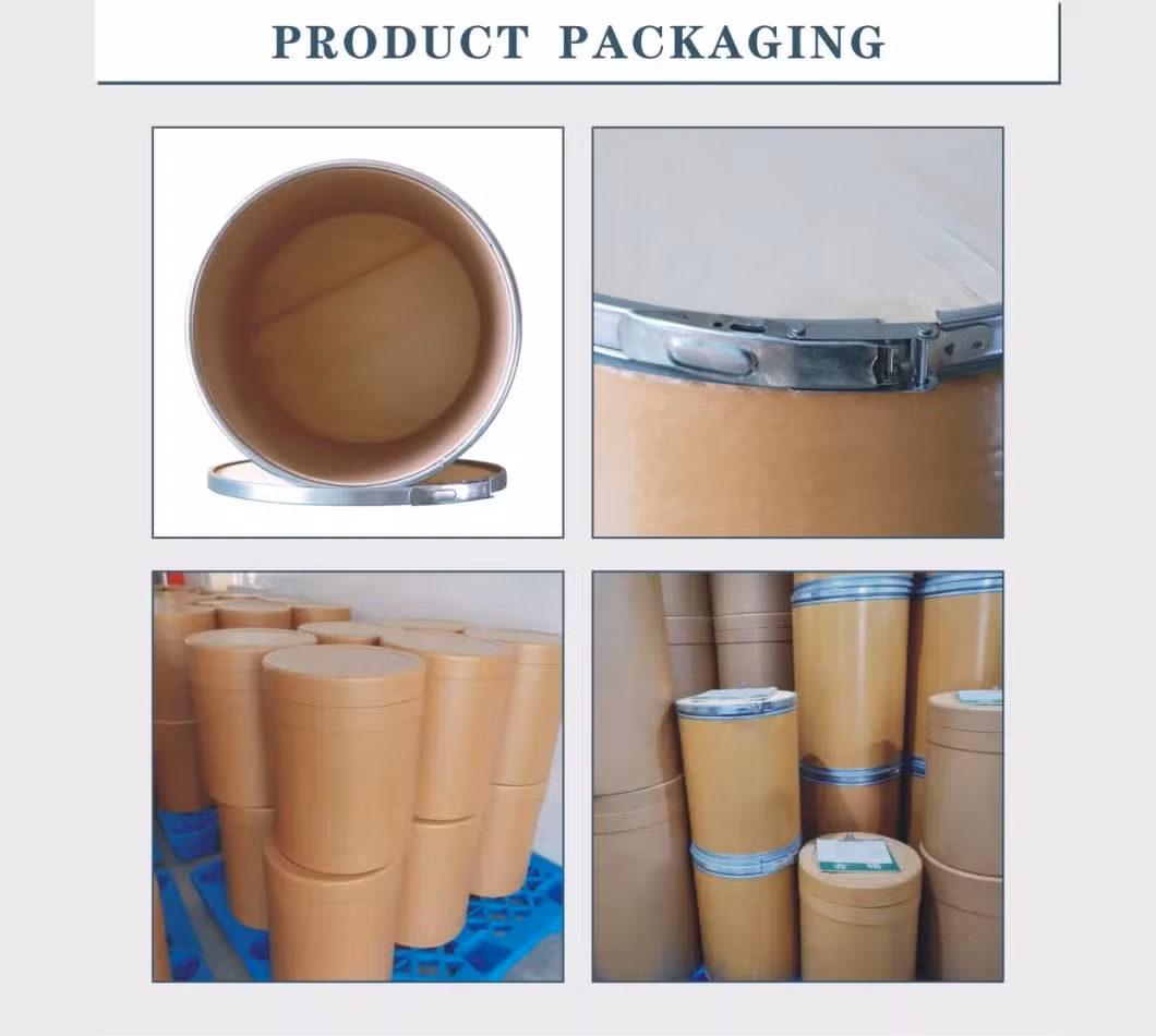 High Performance Organic Coriolus Versicolor Turkey Tail Mushroom Powder Mushroom Extract as Mushroom Supplement