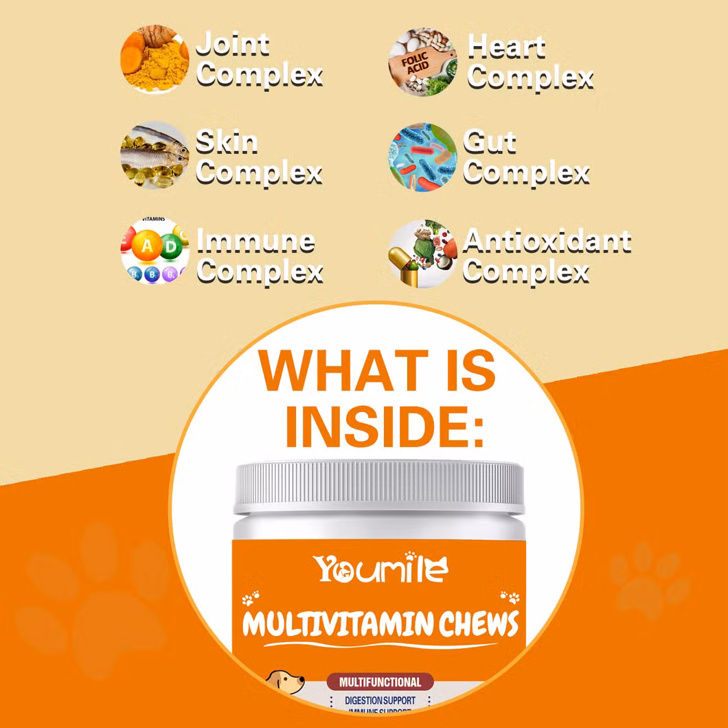 Pet Probiotic Supplement for Dogs&rsquor; Digestive Health, Supports Gut Flora and Immunity