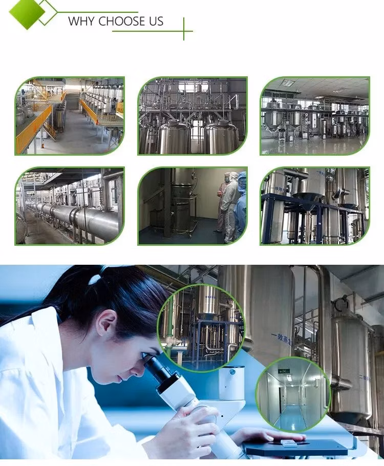 High Performance Organic Coriolus Versicolor Turkey Tail Mushroom Powder Mushroom Extract as Mushroom Supplement