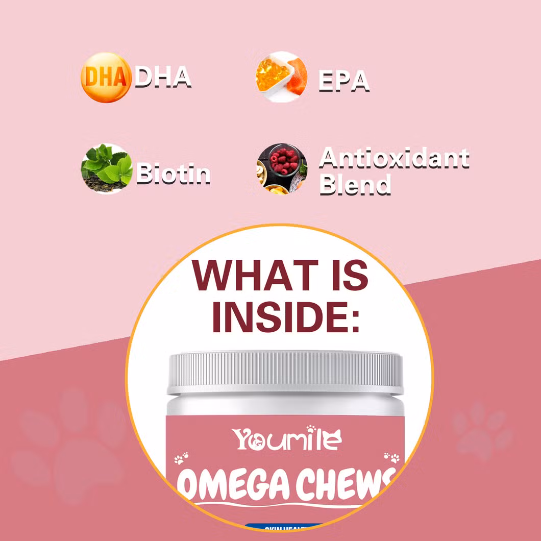 Pet Probiotic Supplement for Dogs&rsquor; Digestive Health, Supports Gut Flora and Immunity