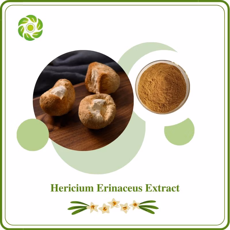 World Well-Being Rutin 90% HPLC Polysaccharide 1%-98% Mushroom Extract Powder Agaricus Blazei /Reishi Mushroom/Hericium Erinaceus/Cordyceps Sinensis Extract