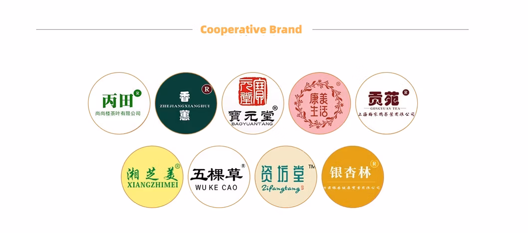 Gan Jiang Raw Material Market Direct Sale of High Quality Chinese Herbs Dried Gingerrhizoma Zingiberis