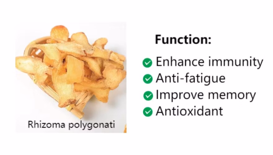 High Quality Bulk Chinese Herbs Dried Huangjing Polygonatum Sibiricum Raw Rhizoma Polygonati