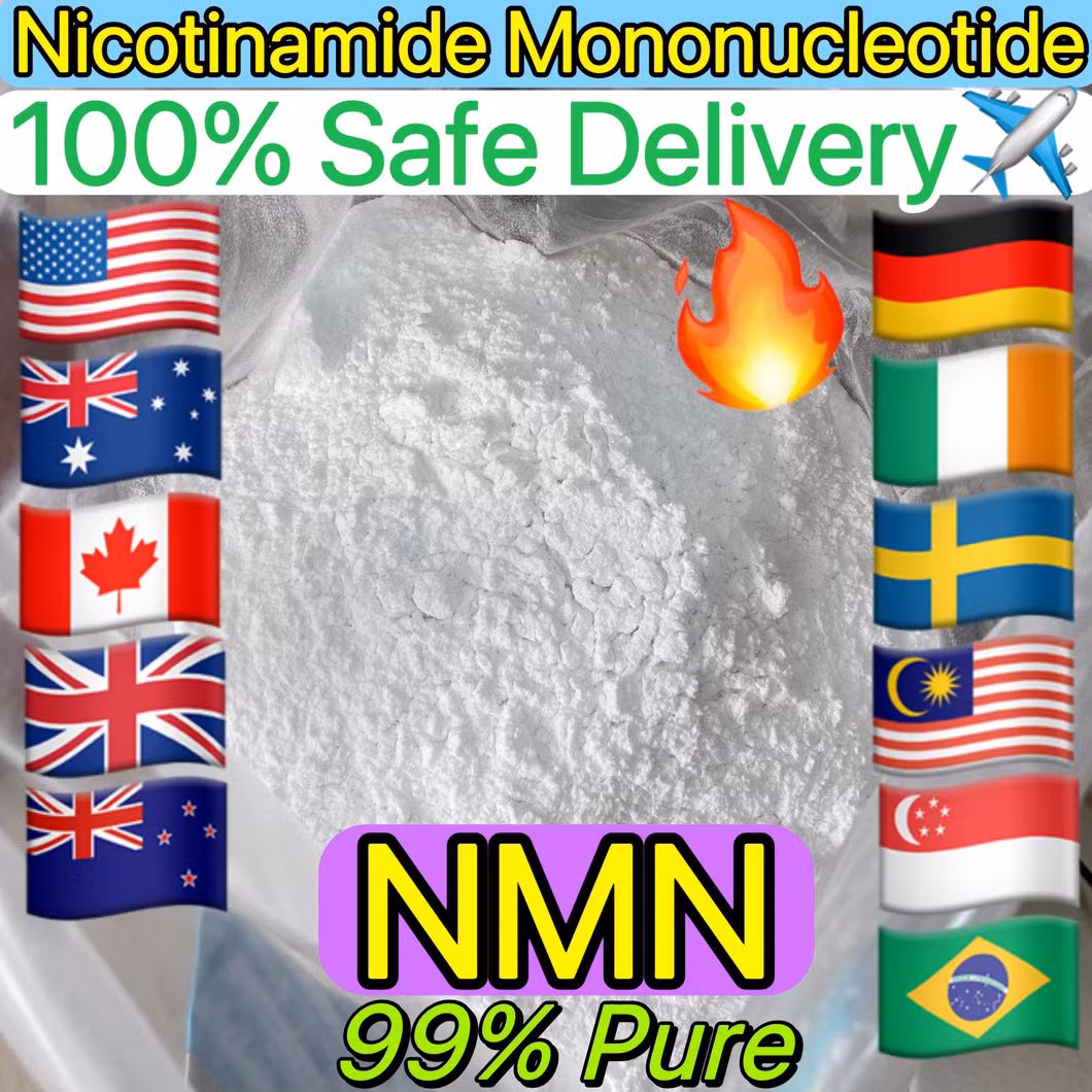 Anti-Aging Food Grade Supplements 99% Purity Beta Nicotinamide Mononucleotide (NMN) Raw Powder Supplier CAS 1094-61-7, 100% Safe Delivery