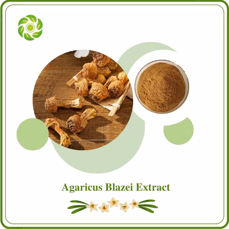 World Well-Being Rutin 90% HPLC Polysaccharide 1%-98% Mushroom Extract Powder Agaricus Blazei /Reishi Mushroom/Hericium Erinaceus/Cordyceps Sinensis Extract