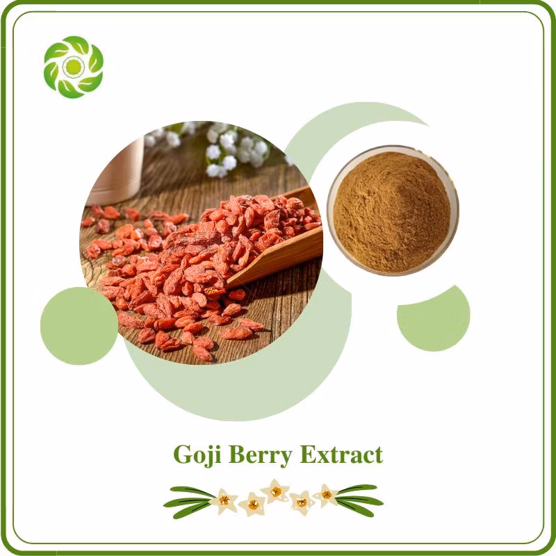 World Well-Being Rutin 90% HPLC Polysaccharide 1%-98% Mushroom Extract Powder Agaricus Blazei /Reishi Mushroom/Hericium Erinaceus/Cordyceps Sinensis Extract