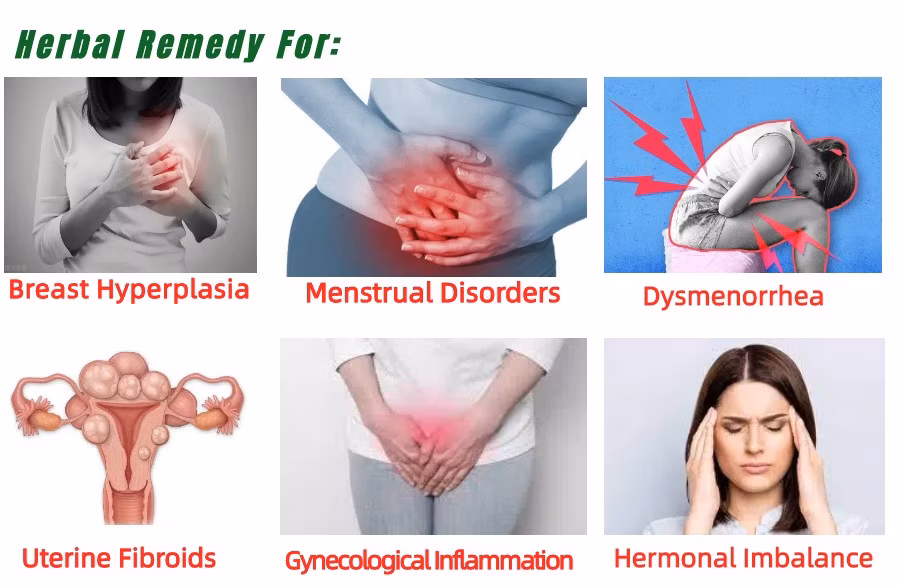 Natural Herbal Dietary Supplement for Women with Infertility Ovarian Cyst Endometriosis Dysmenorrhea and Amenorrhea