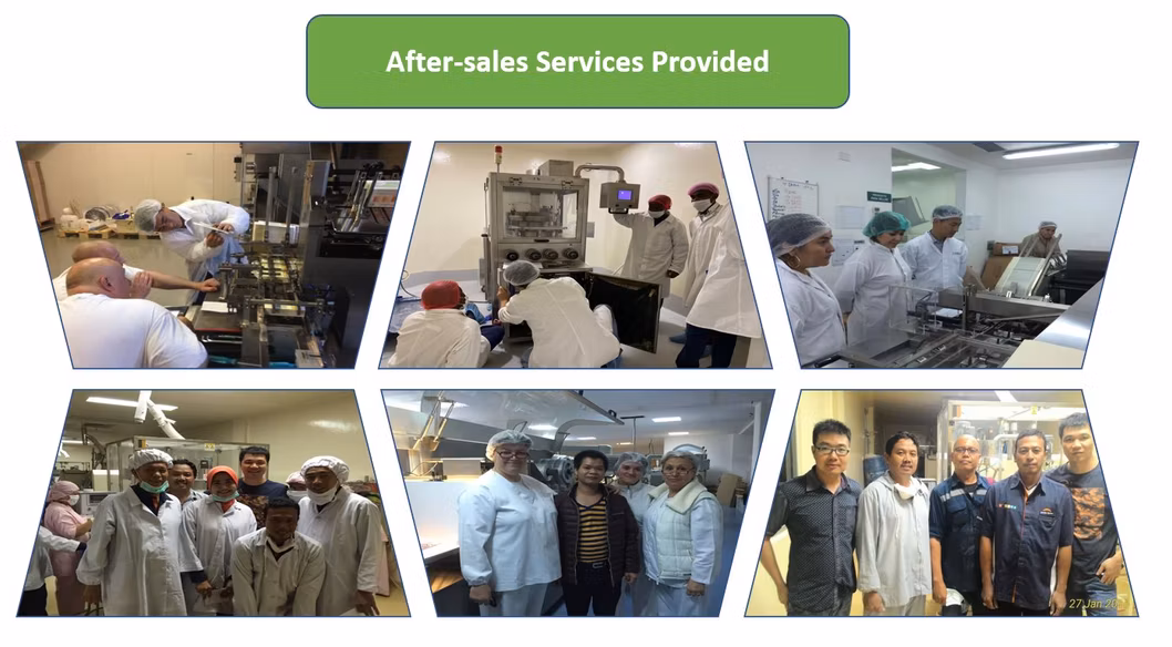 Pharmaland High Capacity Pharmaceutical and Nutraceutical Stick Pack Powder Back Sealing Powder Sachet Packaging Machine Machine