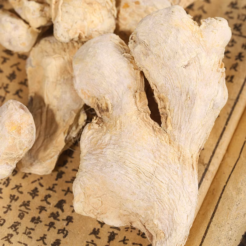 Gan Jiang Raw Material Market Direct Sale of High Quality Chinese Herbs Dried Gingerrhizoma Zingiberis