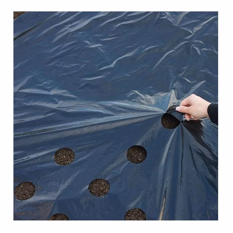 Black and White Plastic Mulch Film Plastic Covering Transparency White Mulch Film