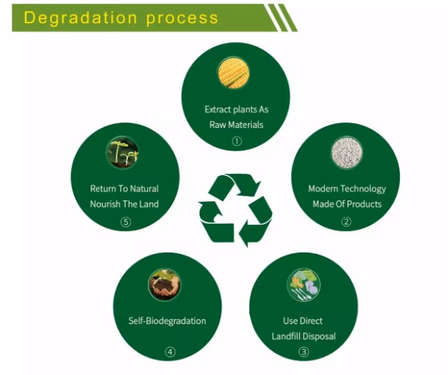 Food Grade Plastic 100% Biodegradable/Compostable Packaging Fresh Meat Fruit Wrap PLA Cling Film