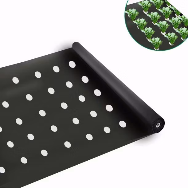 Black and White Plastic Mulch Film Plastic Covering Transparency White Mulch Film