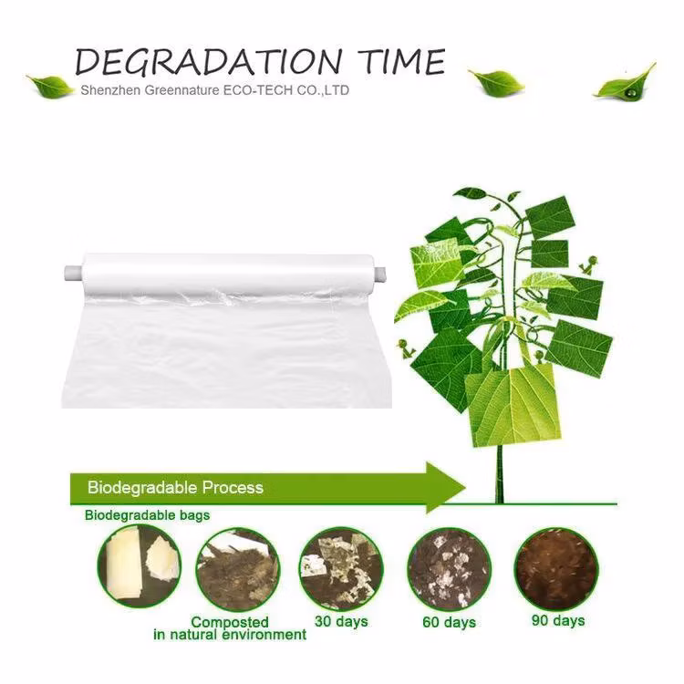 PLA/Pbat 25um 30um Biodegradable Silver Black Plastic Mulch Layer /Mulch Film