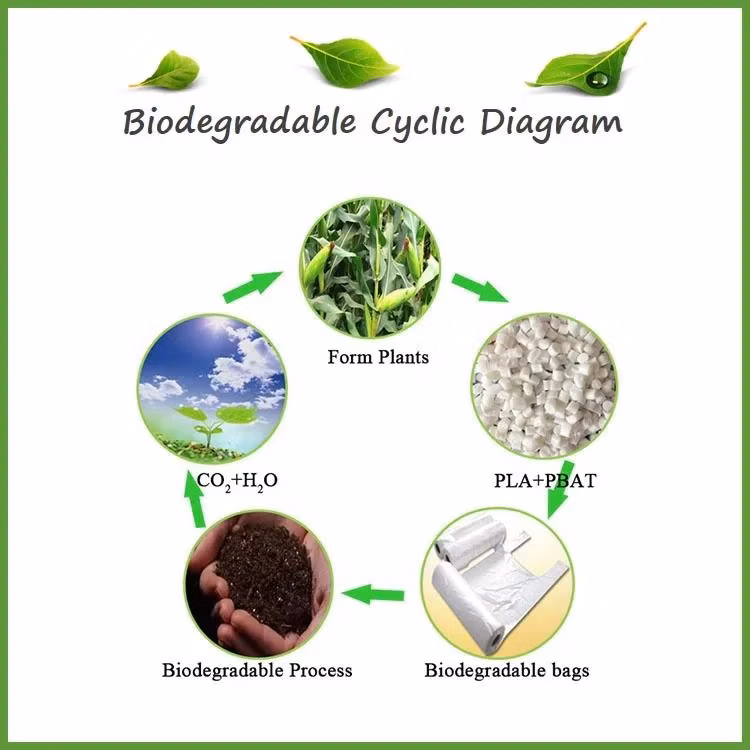 PLA/Pbat 25um 30um Biodegradable Silver Black Plastic Mulch Layer /Mulch Film