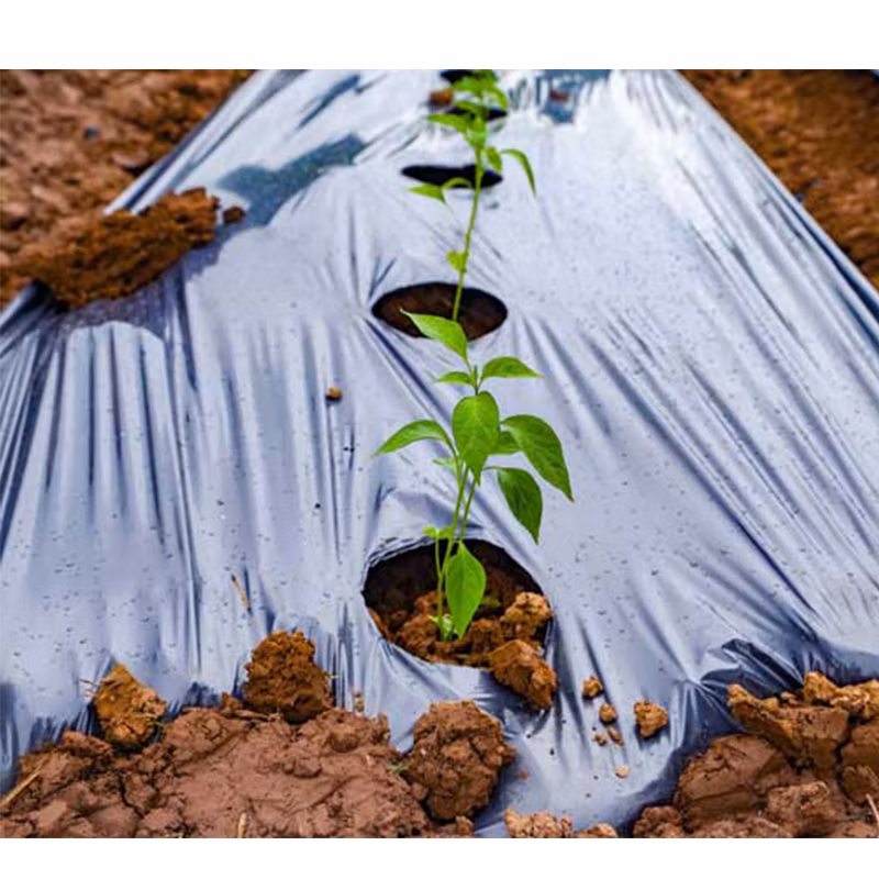 Black and White Plastic Mulch Film Plastic Covering Transparency White Mulch Film