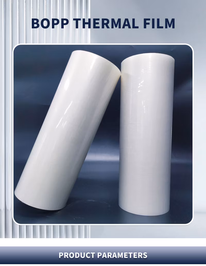 Hot Sale Clear 100% Compostable Biodegradable BOPP Thermal Lamination Film Roll Pouches A4