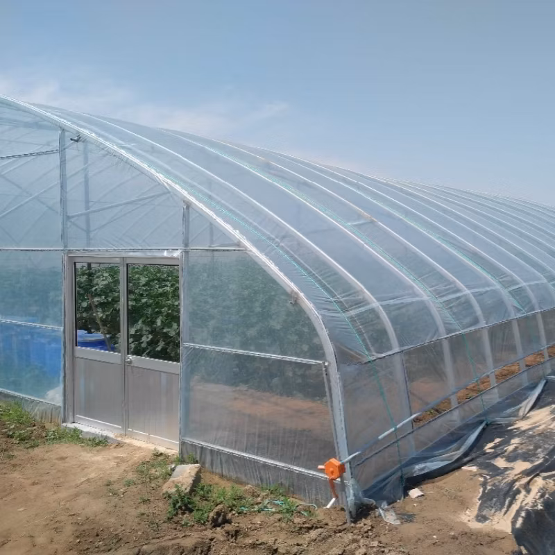 Supply Quality Plastic Covers Add UV Polyethylene Anti Big Rain/Storm Vine Yard Cover Film