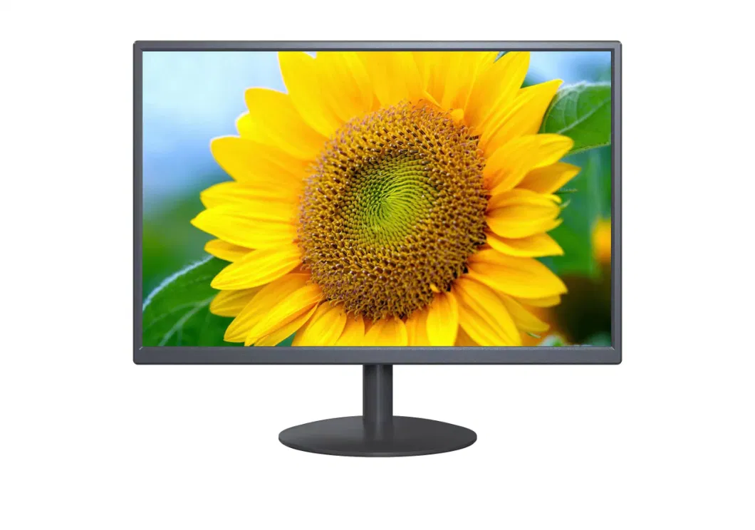 19 20 22inch Display with HDMI and VGA for Home and Office PC LED Monitor