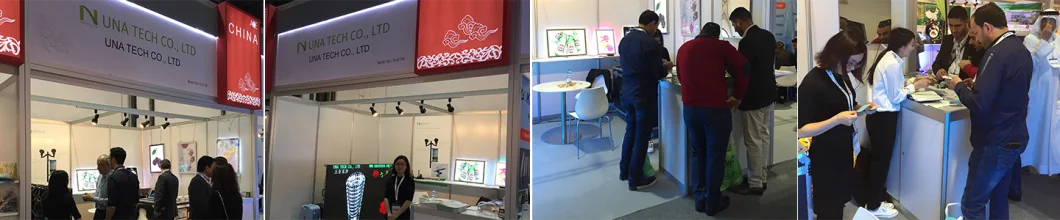 P1.95 Indoor Stage Rental Digital Screen Concert Mobile Advertising LED Video Display