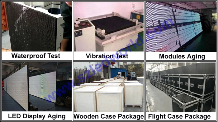 Indoor LED Display 500X1000mm Die-Casting Alumium Screen Panel Board (P3.91 P4.81 P5.95 P6.25)