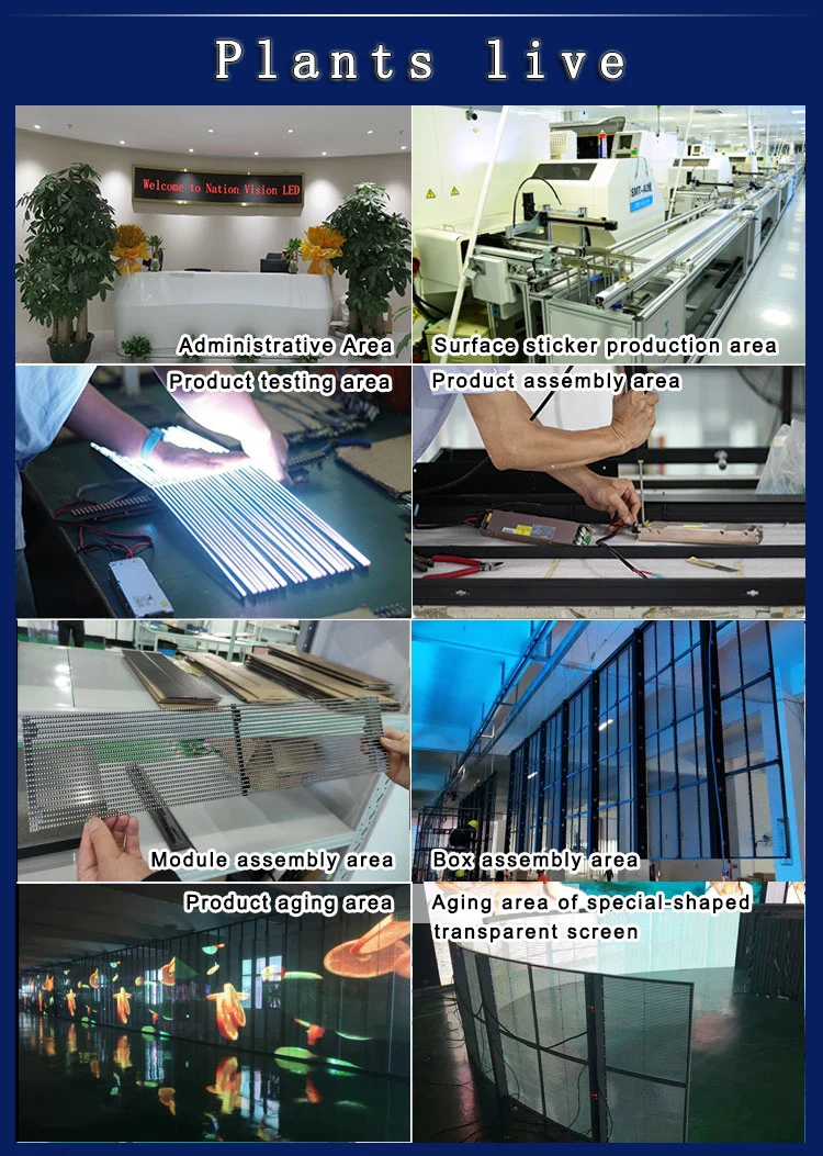 Ultra Thin Indoor Glass Window Transparent LED Flexible Transparent Film Display