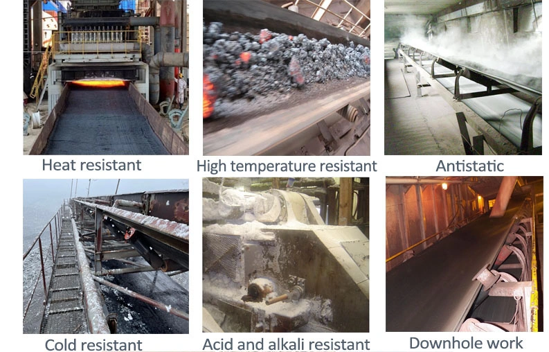 The Driveline Device Is Used for The Driveline Device Is Used for Pulleys in Conveying Machinery in Conveying Machinery