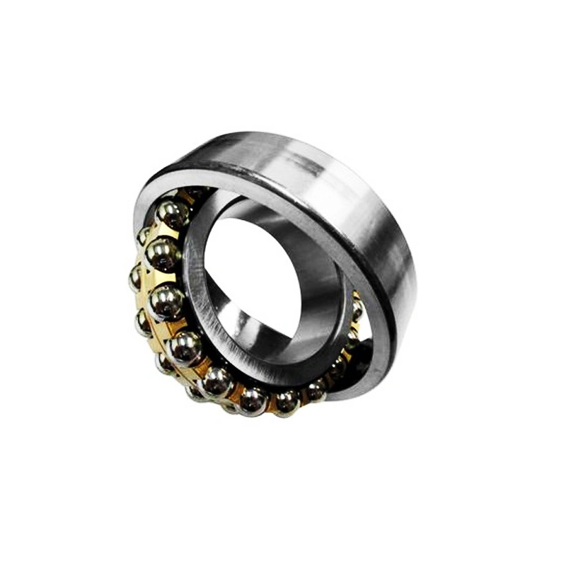 Single Row Double Row Brass/Steel/Nylon Cage Self-Aligning Ball Bearing 1206/1207/1208