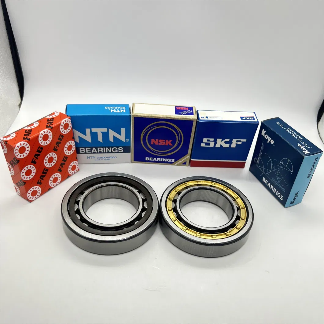 Deep Groove Ball/Self Aligning/ Thrust/Angular Contact/Ball Bearing/Taper/Cylindrical Roller/ Pillow Block/Self Aligning/Needle/Roller Bearing/Wheel Hub Bearing