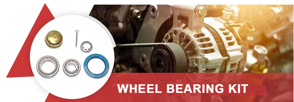 Bearings Factory Wheel Hub Bearing Ball Bearing Koyo/NSK/Snr Auto Bearing KIA/Toyota/Renault/Peugeot/VW Wheel Bearing