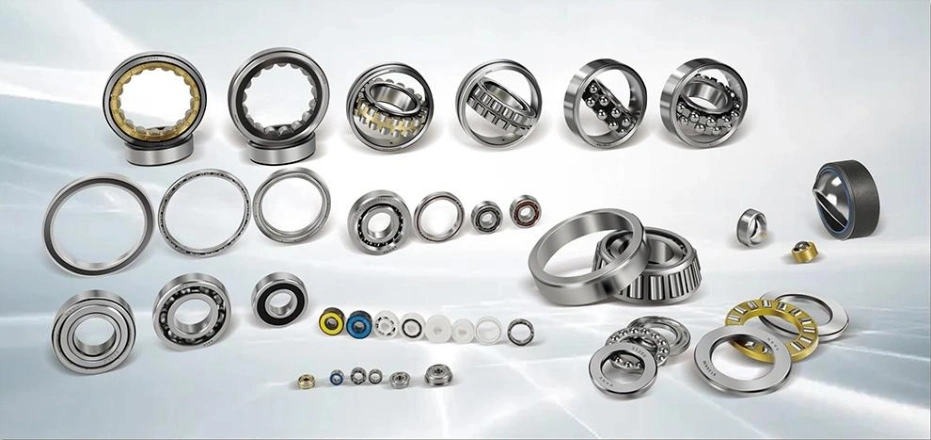 Deep Groove Ball/Self Aligning/ Thrust/Angular Contact/Ball Bearing/Taper/Cylindrical Roller/ Pillow Block/Self Aligning/Needle/Roller Bearing/Wheel Hub Bearing