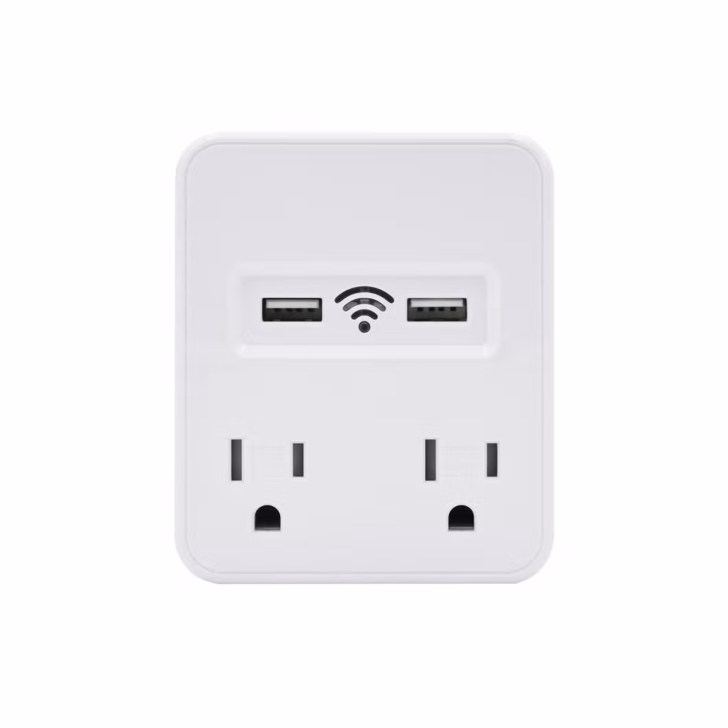 Google Home Plug Smart Tuya WiFi Receptacles with 2 USB Ports