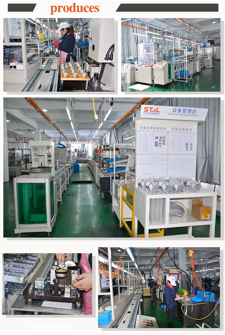 Excavator Hydraulic Oil Cooler Water Radiator Ec60 with Bottle LG80 Mile Tube N33 Condenser